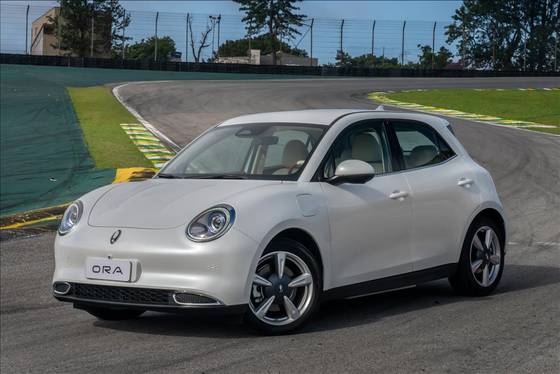 GWM ORA 03 48 KW ELÉTRICO SKIN